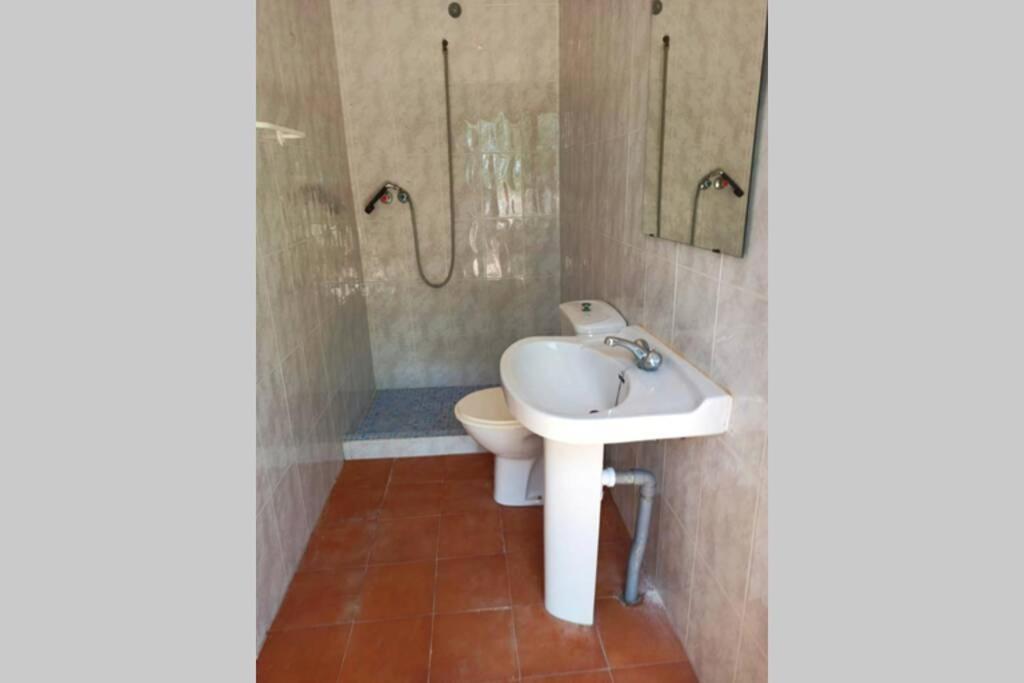 Villa Rustica Privada Con Gran Chalet Y Piscina Elche Exterior photo